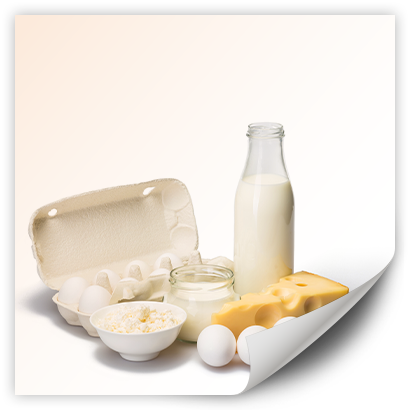 Eier und Milchprodukte